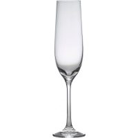 Gusto Champagne Flute 19cl