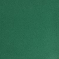 Duni Cocktail Napkin 2ply Forest Green 25cm
